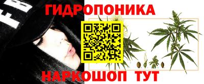 ПСИЛОЦИБИНОВЫЕ ГРИБЫ Кунгур