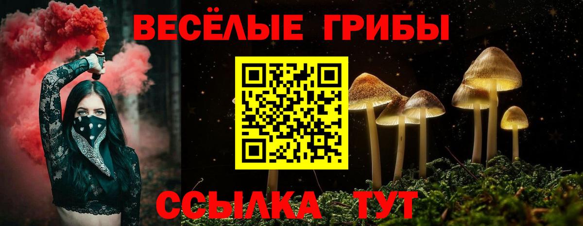 Псилоцибиновые грибы ЛСД Каменка